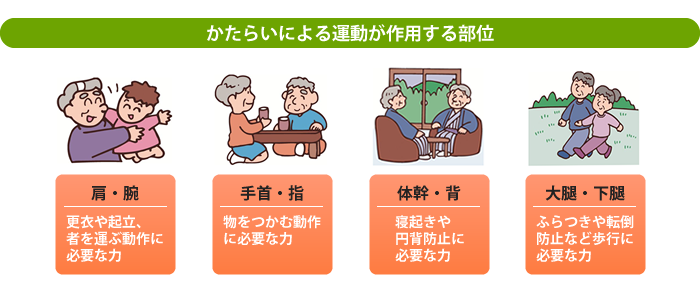 かたらいによる運動が作用する部位