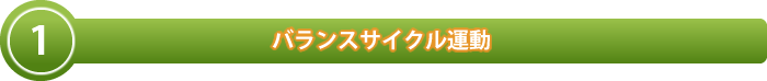 バランスサイクル運動