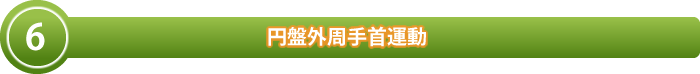 円盤外周手首運動