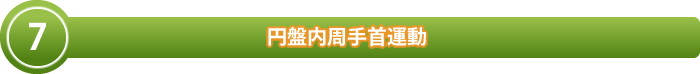 円盤内周運動